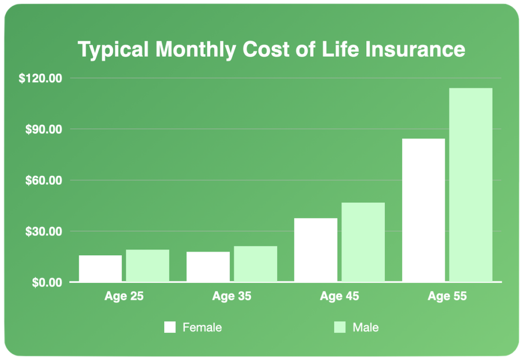 Do You Need Life Insurance as a Young Adult? | Everyday Life